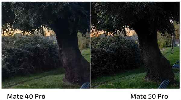 华为Mate40Pro和华为Mate50Pro拍照对比-华为Mate40Pro和华为Mate50Pro影像进步有多大