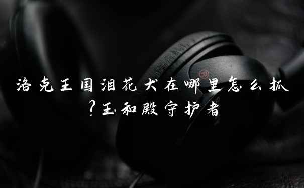 洛克王国泪花犬在哪里怎么抓？玉和殿守护者