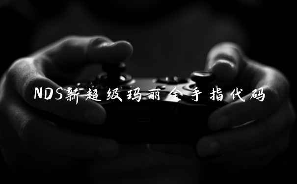 NDS新超级玛丽金手指代码