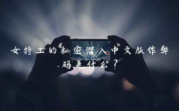 女特工的秘密潜入中文版作弊码是什么？