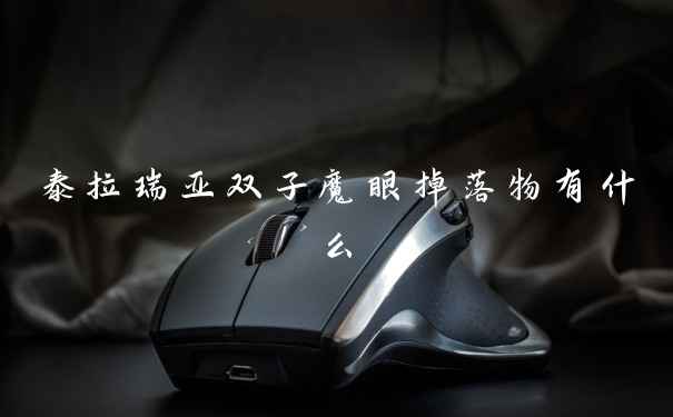 泰拉瑞亚双子魔眼掉落物有什么