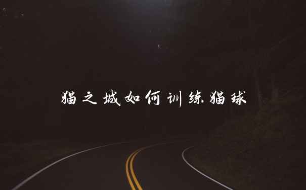 猫之城如何训练猫球