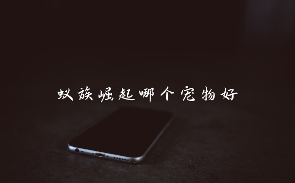 蚁族崛起哪个宠物好