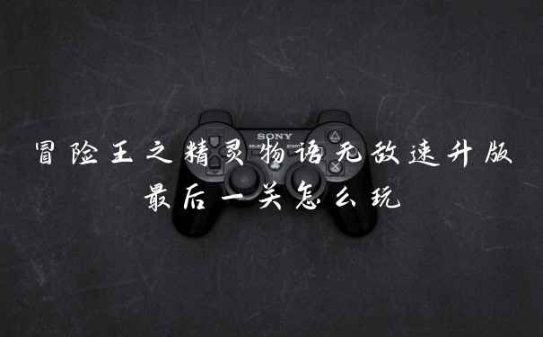 冒险王之精灵物语无敌速升版最后一关怎么玩