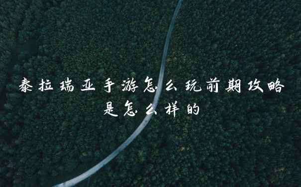 泰拉瑞亚手游怎么玩前期攻略是怎么样的
