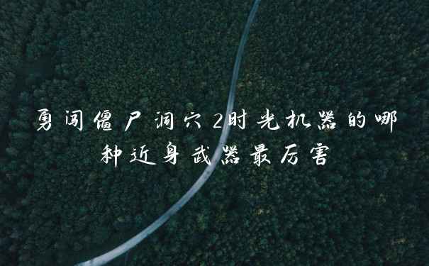 勇闯僵尸洞穴2时光机器的哪种近身武器最厉害