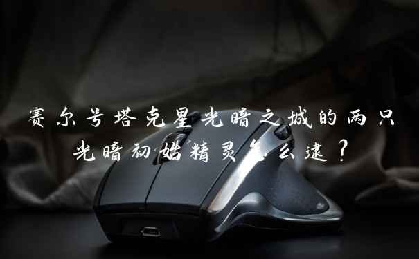 赛尔号塔克星光暗之城的两只光暗初始精灵怎么逮？