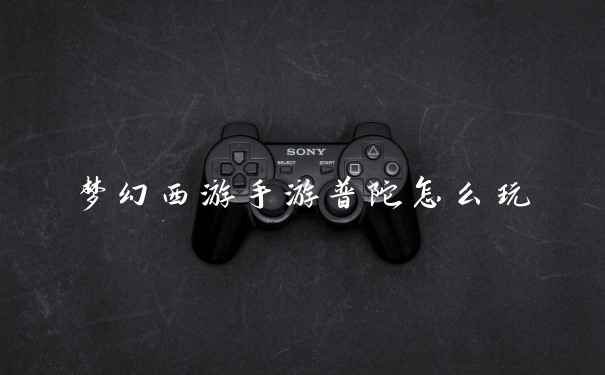 梦幻西游手游普陀怎么玩