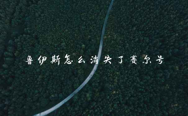 鲁伊斯怎么消失了赛尔号