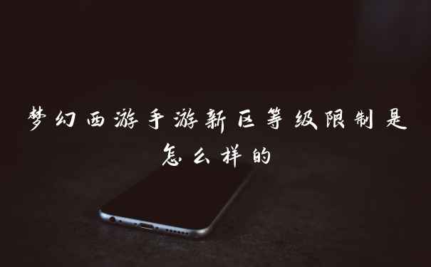 梦幻西游手游新区等级限制是怎么样的