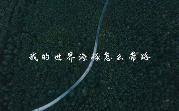 我的世界海豚怎么带路