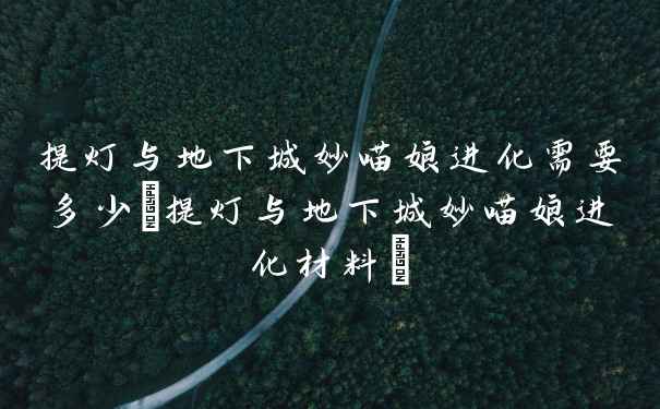 提灯与地下城妙喵娘进化需要多少(提灯与地下城妙喵娘进化材料)
