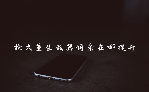 枪火重生武器词条在哪提升
