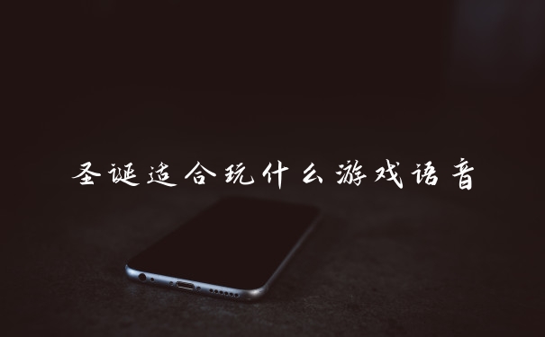 圣诞适合玩什么游戏语音