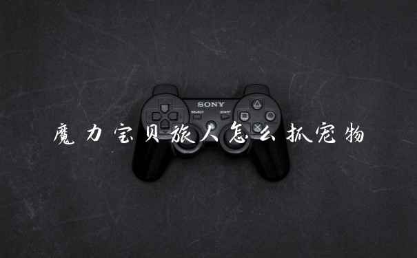 魔力宝贝旅人怎么抓宠物