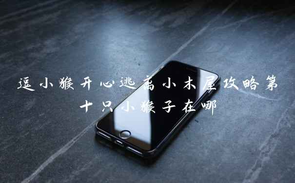 逗小猴开心逃离小木屋攻略第十只小猴子在哪
