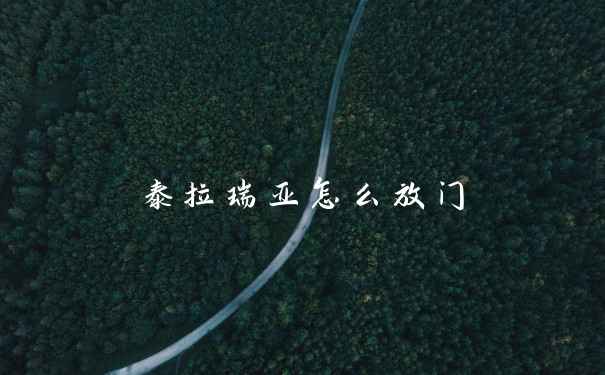 泰拉瑞亚怎么放门