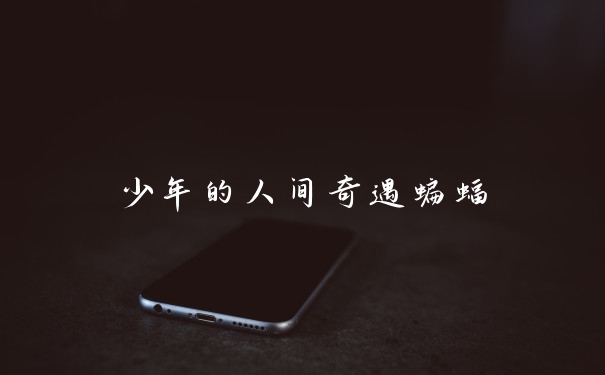 少年的人间奇遇蝙蝠