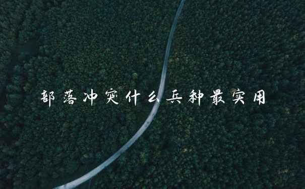 部落冲突什么兵种最实用