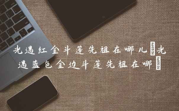 光遇红金斗篷先祖在哪儿(光遇蓝色金边斗篷先祖在哪)