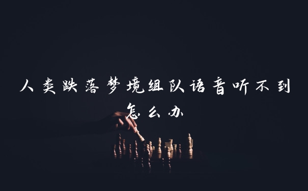 人类跌落梦境组队语音听不到怎么办