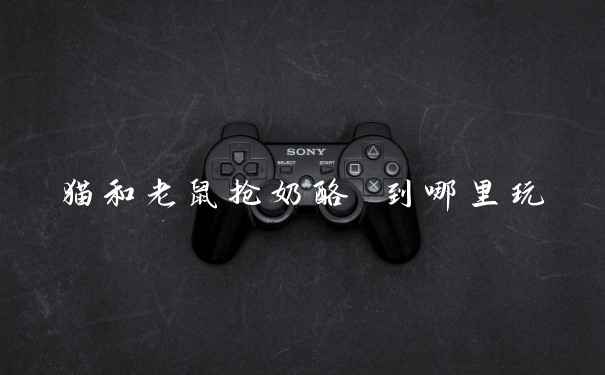 猫和老鼠抢奶酪 到哪里玩