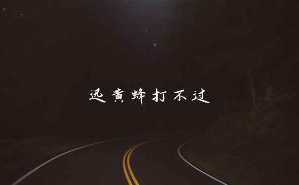 迅黄蜂打不过