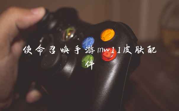 使命召唤手游mw11皮肤配件