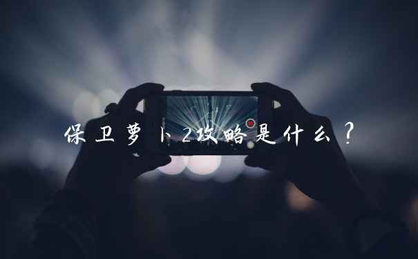 保卫萝卜2攻略是什么?