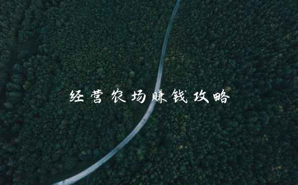 经营农场赚钱攻略