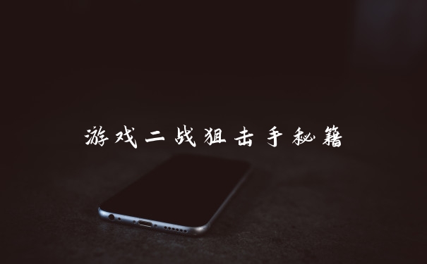 游戏二战狙击手秘籍
