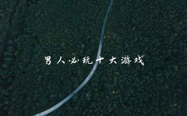 男人必玩十大游戏