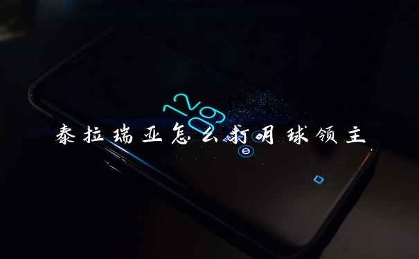 泰拉瑞亚怎么打月球领主