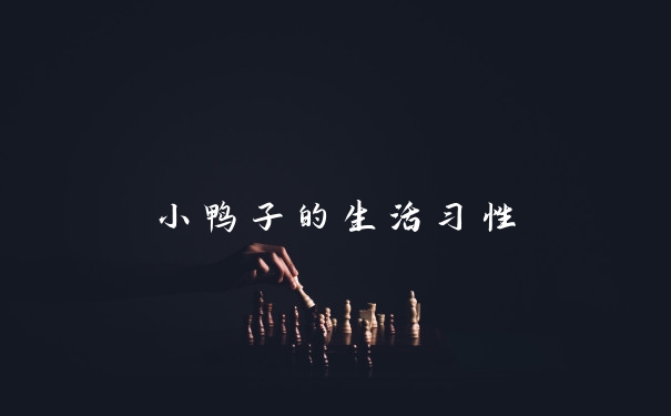 小鸭子的生活习性