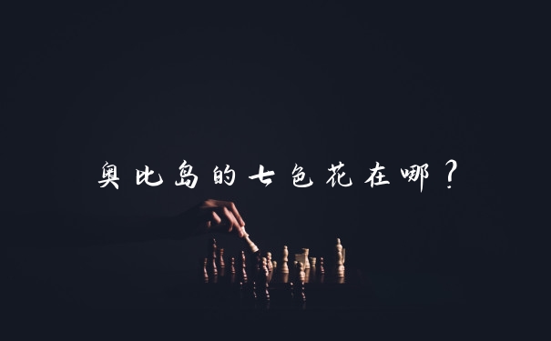 奥比岛的七色花在哪？