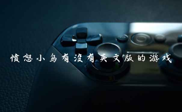 愤怒小鸟有没有英文版的游戏