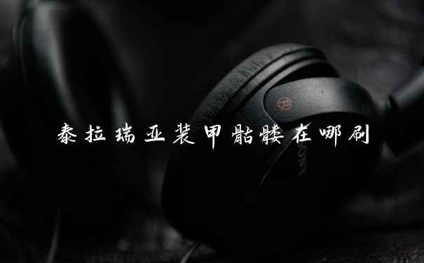 泰拉瑞亚装甲骷髅在哪刷