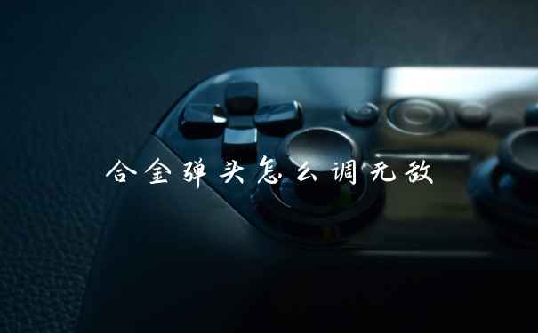 合金弹头怎么调无敌