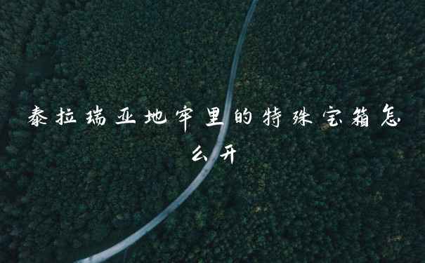 泰拉瑞亚地牢里的特殊宝箱怎么开