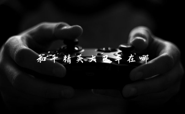 和平精英大巴车在哪