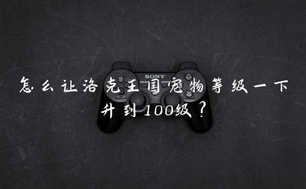 怎么让洛克王国宠物等级一下升到100级?