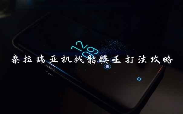 泰拉瑞亚机械骷髅王打法攻略