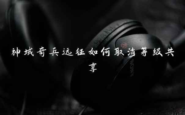 神域奇兵远征如何取消等级共享