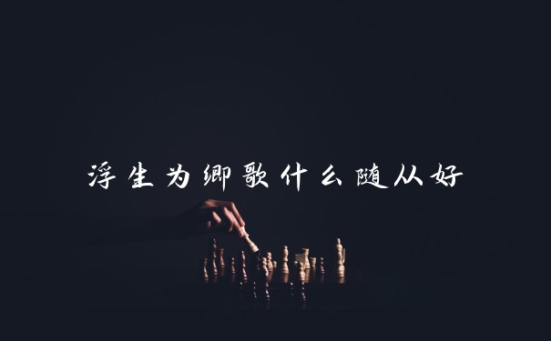 浮生为卿歌什么随从好