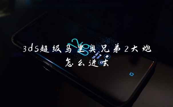 3ds超级马里奥兄弟2大炮怎么进去