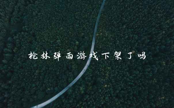 枪林弹雨游戏下架了吗