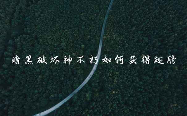 暗黑破坏神不朽如何获得翅膀