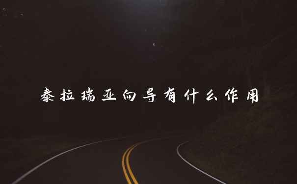 泰拉瑞亚向导有什么作用