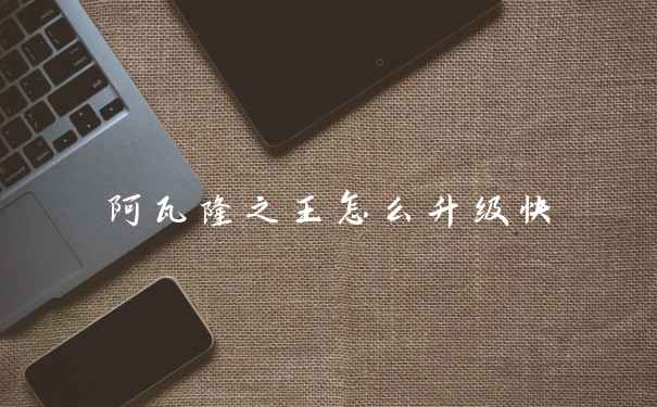 阿瓦隆之王怎么升级快