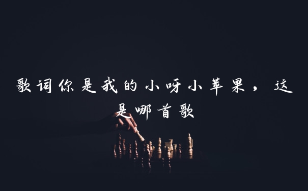 歌词你是我的小呀小苹果，这是哪首歌
